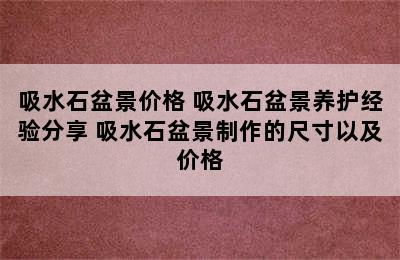 吸水石盆景价格 吸水石盆景养护经验分享 吸水石盆景制作的尺寸以及价格